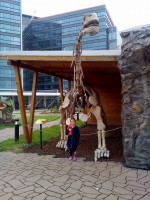 /album/fotogalerie-dinopark-vylet-do-prehistorie-na-strese-galerie-harfy/dinopark-jitka-hlavackova19-jpg/